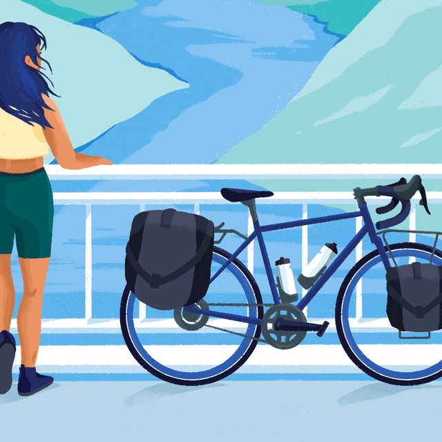 Mint touring bike